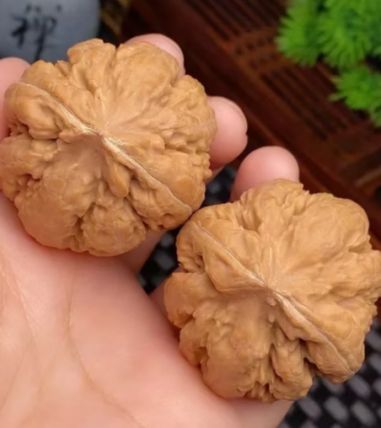 个效果最好？不后悔入手的四款推荐PG电子麻将胡了2试玩生发产品哪