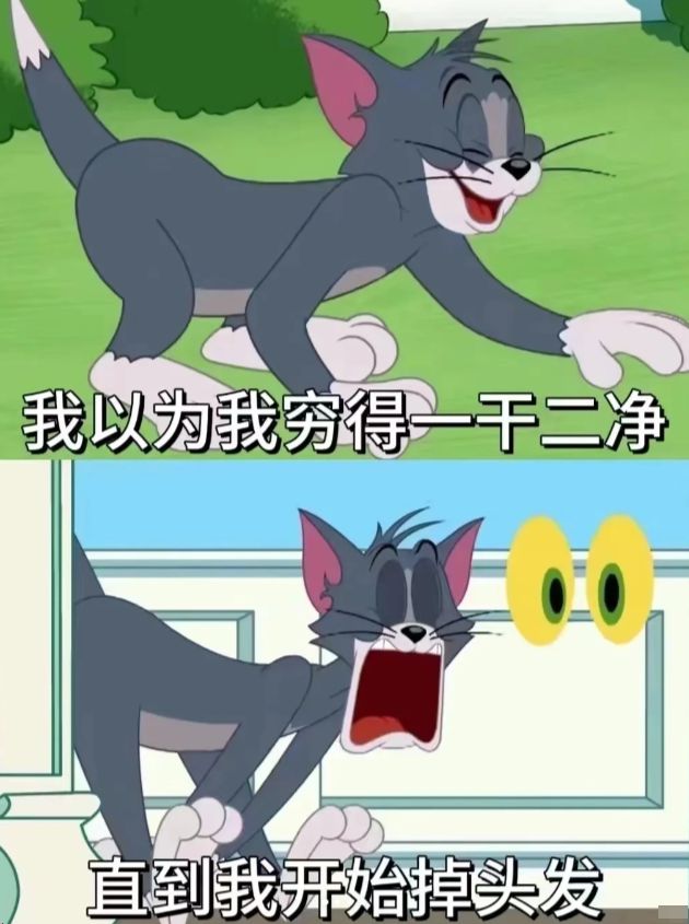 个效果最好？不后悔入手的四款推荐PG电子麻将胡了2试玩生发产品哪(图4)