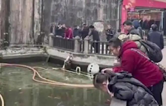 投毒者恐将面临牢狱之灾知情人爆料更多细节PG麻将胡了试玩平台重庆锦鲤死亡后续！(图4)