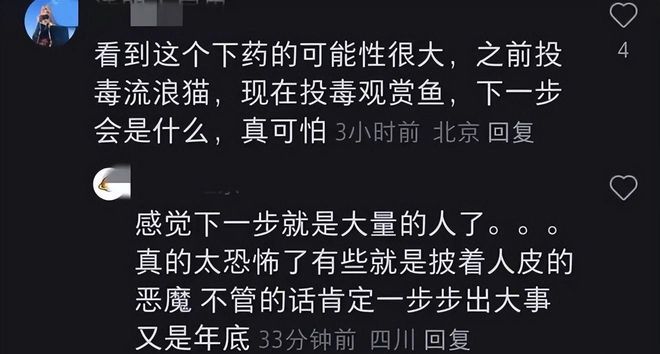 投毒者恐将面临牢狱之灾知情人爆料更多细节PG麻将胡了试玩平台重庆锦鲤死亡后续！(图11)