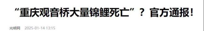 投毒者恐将面临牢狱之灾知情人爆料更多细节PG麻将胡了试玩平台重庆锦鲤死亡后续！(图10)