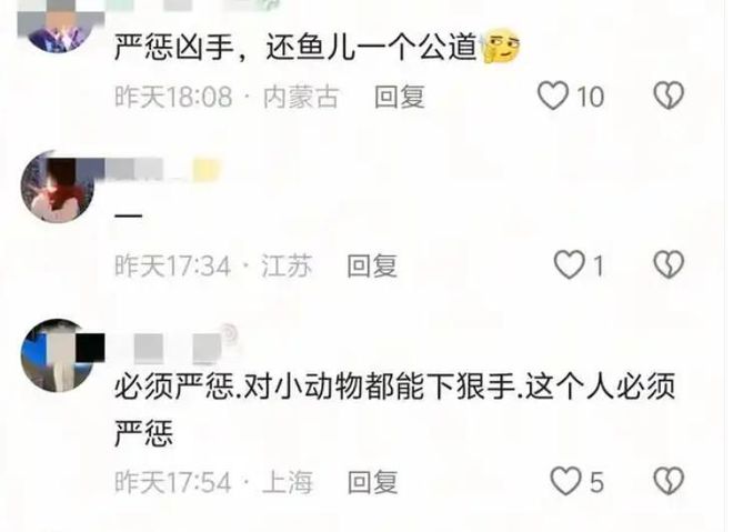 投毒者恐将面临牢狱之灾知情人爆料更多细节PG麻将胡了试玩平台重庆锦鲤死亡后续！(图13)