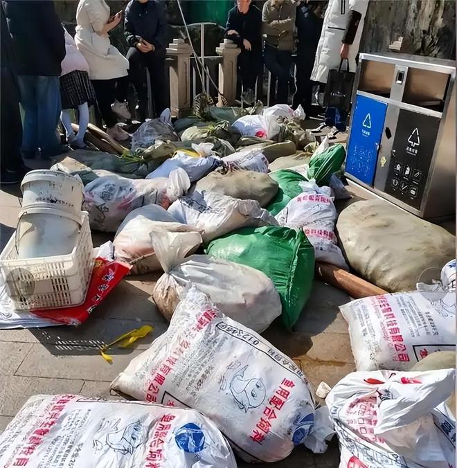 投毒者恐将面临牢狱之灾知情人爆料更多细节PG麻将胡了试玩平台重庆锦鲤死亡后续！(图20)