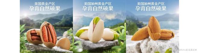 么是三只松鼠？麻将胡了网址什(图18)